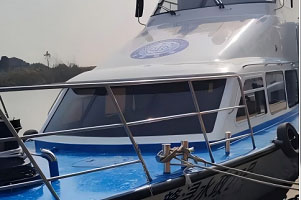 le variateur GD350-CCS au service des bateaux électriques