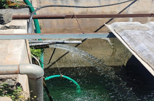 INVT SP100 garantit un approvisionnement en eau continu grâce à sa fonction hybride EB