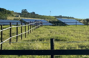 INVT GD100-PV Series Inverter used in paddock in South Africa