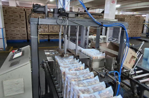 INVT DA180 Servo and GD27 VFD for Biscuit Packaging Machine in India
